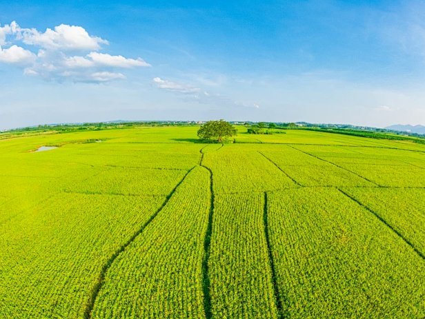 秒瞬达花呗即时提现指南