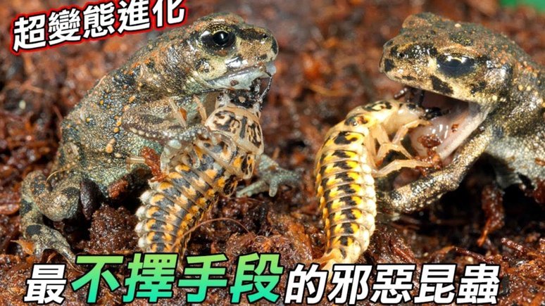 得物变现：数据驱动的商业闭环