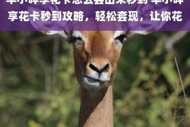 羊小咩便荔卡套现技巧
