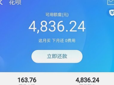 怎么可以套花呗的钱出来