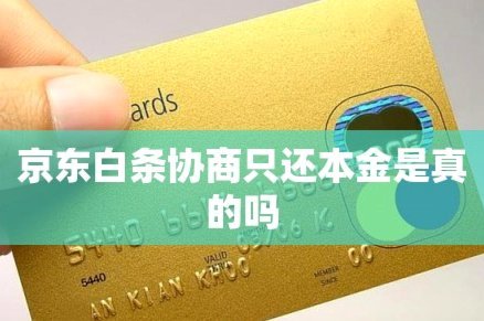 揭秘白条出库“秒批”背后的真相