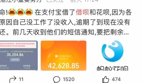花呗是大平台吗