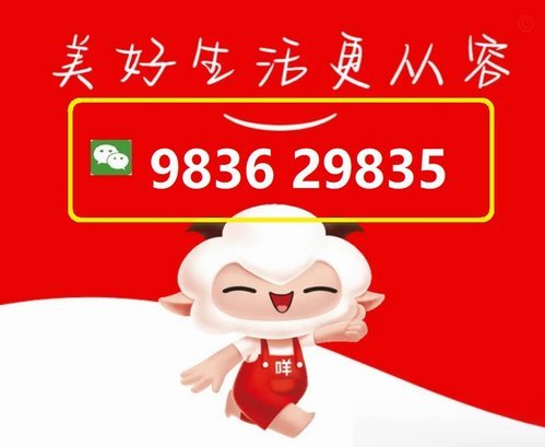 羊小咩怎么充值话费