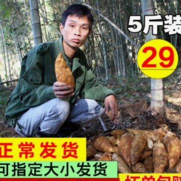 拿去花取现