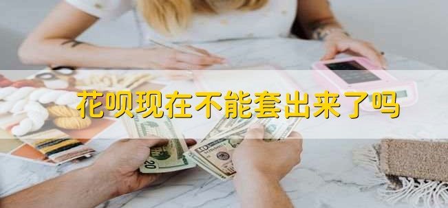 套花呗被发现后的严重后果