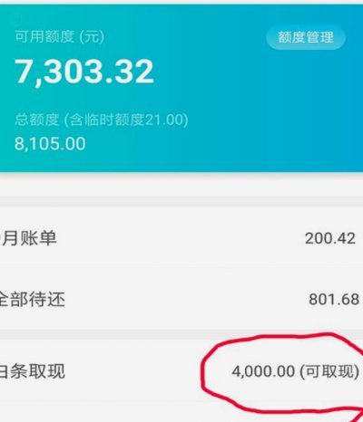 如何安全有效使用白条额度