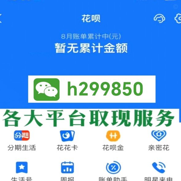 花呗兑现商家 哪个软件好