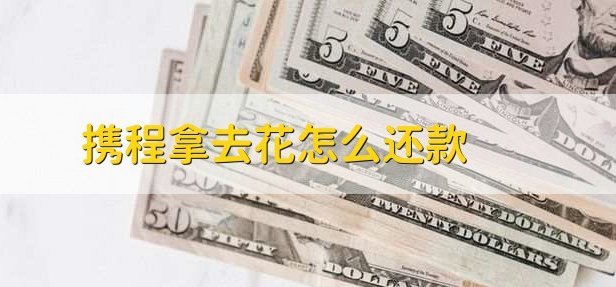 拿去花取现怎么修改金额还款