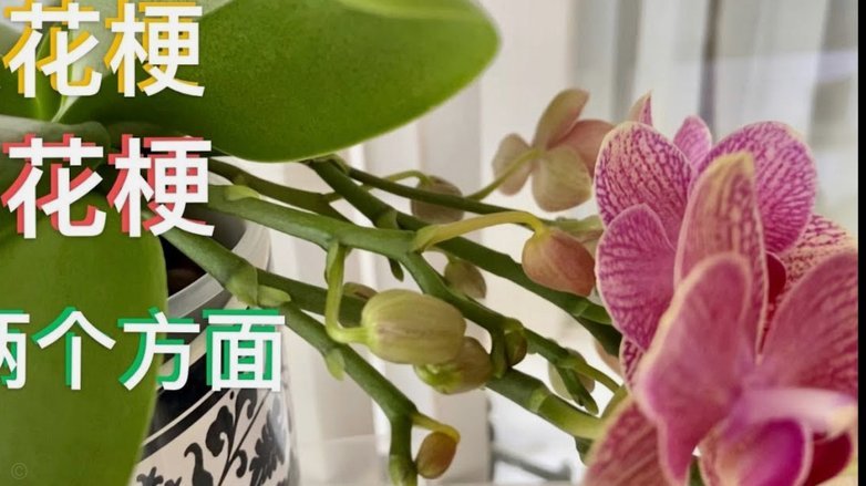 花呗套线风险大公开：哪些行为千万不能碰？