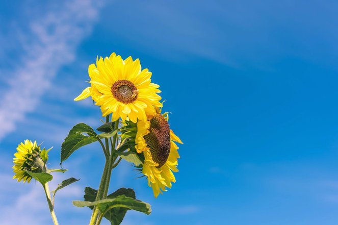 花呗套花呗会产生成本吗？