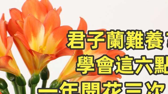 分付要怎么取现