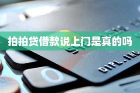 拍拍用借款入口在哪里