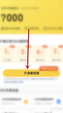 美团月付取现500不见了