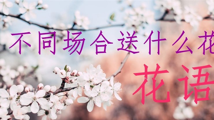 去哪拿去花怎么用