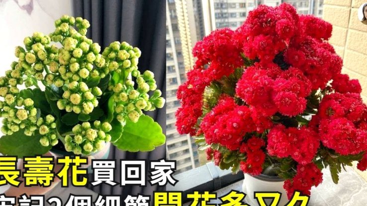 携程拿去花如何还款