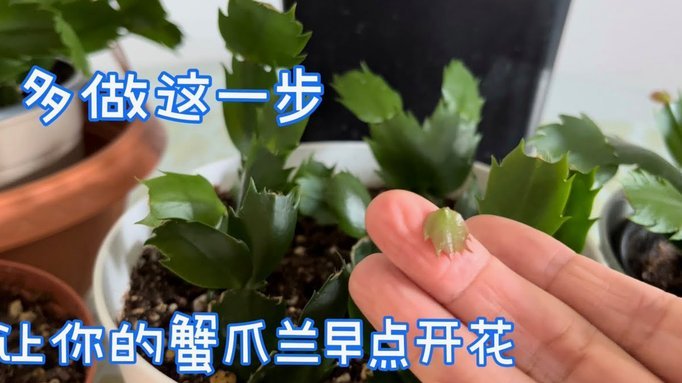 携程“拿去花”：提现攻略全揭秘
