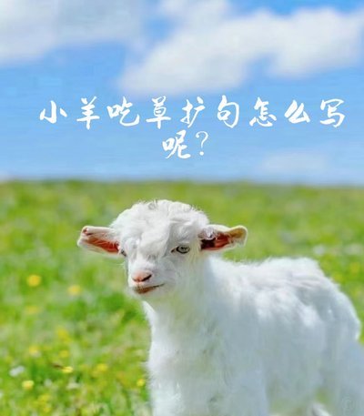 羊小咩：不止是牧草，更需要什么？