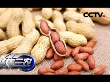 花呗套现平台那些坑需警惕