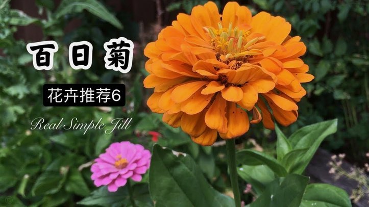 花呗“秒到”：用户体验背后的秘密