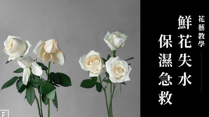 携程拿去花提现攻略：破解资金流转难题