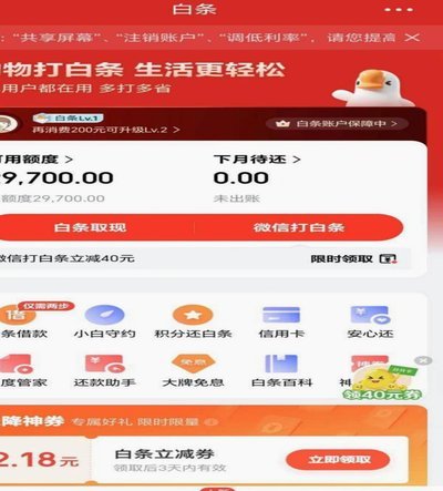 白条联系人查询指南