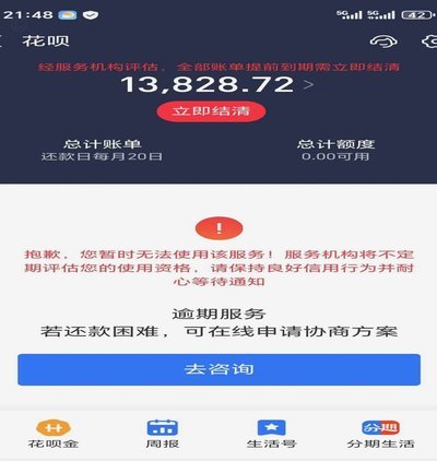 分期乐给了临时额度借不出来