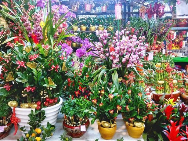 花呗平台是什么平台
