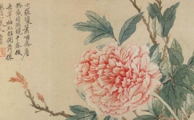 花呗平台是什么平台