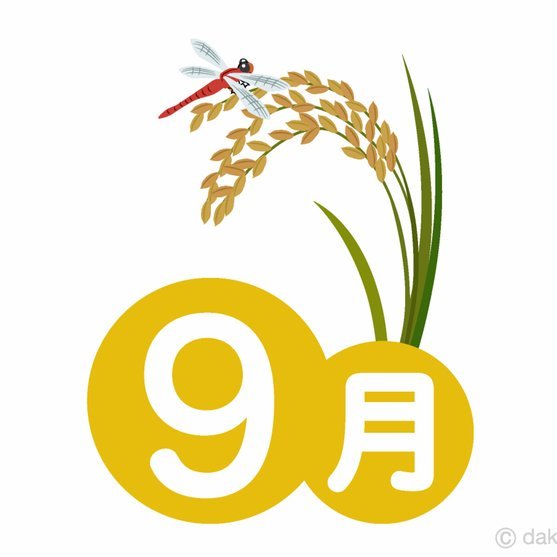 拿去花app怎么样