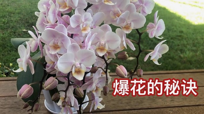 拿去花消费指南：如何合理使用