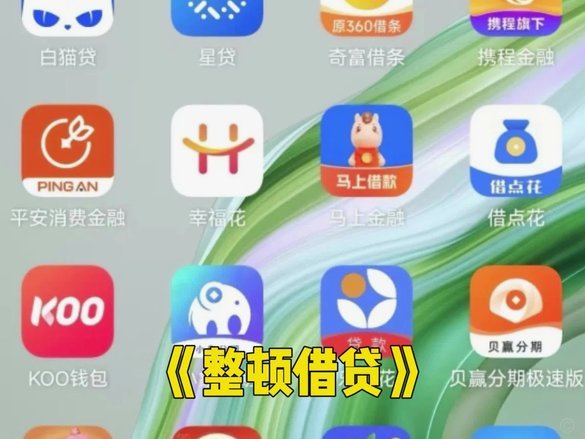 拍拍借钱花：数据驱动的创新借贷平台