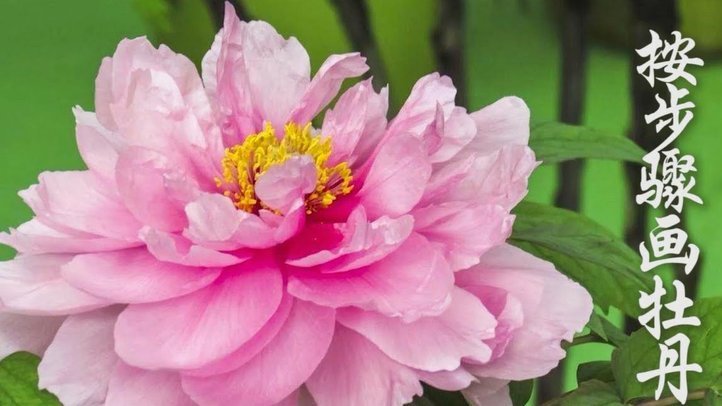 鹿优选享花卡怎么提现