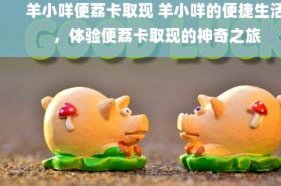 羊小咩便荔卡：低利率、动态额度取现