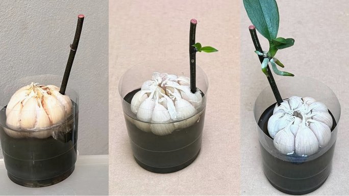 携程“拿去花”困局：破解用户信任危机