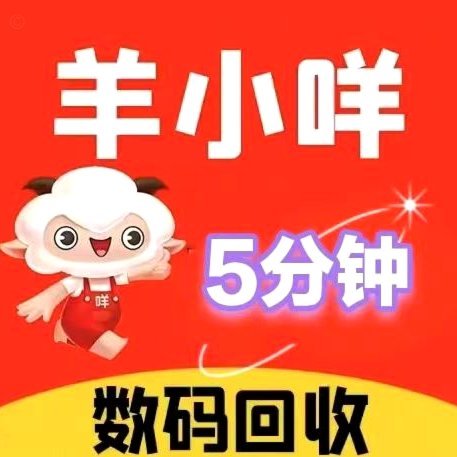 羊小咩套路贷怎么避免